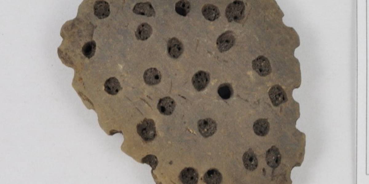 Descubren el queso más antiguo del que se tenga conocimiento
