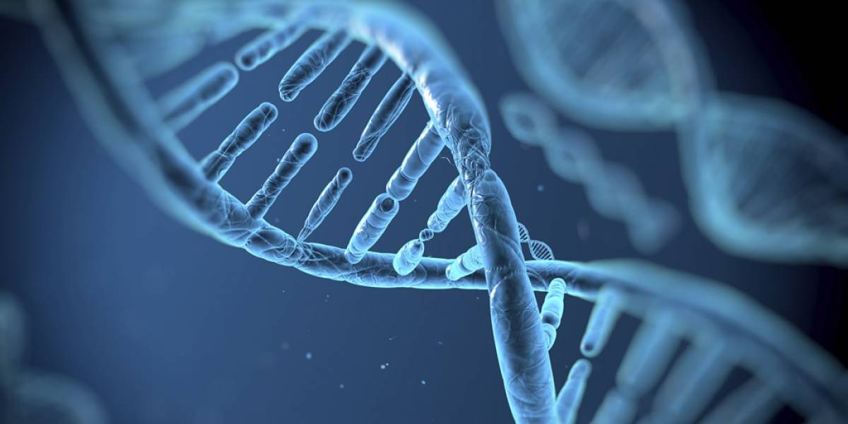 Científicos mejoraron la técnica CRISPR de edición genética