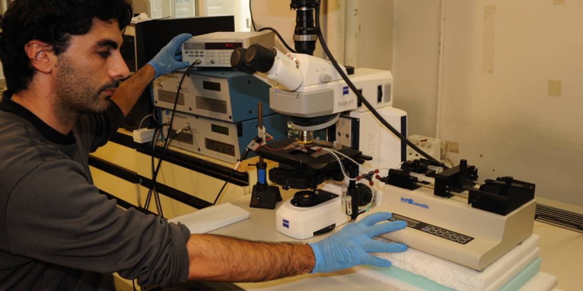 Crean un microchip que separa y extrae células tumorales en sangre
