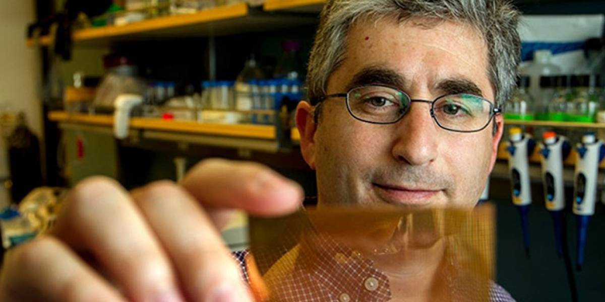 Desarrollan chip para diagnosticar rápidamente diabetes tipo 1