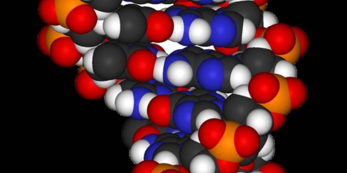 Estados Unidos ahora quiere que los genes no sean patentables