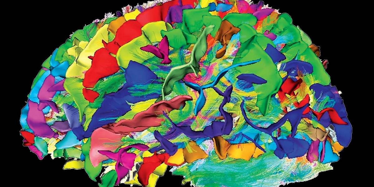 Efectos de la meditación en la estructura del cerebro