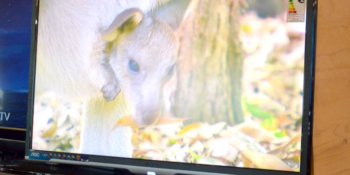 LED TV AOC LE32W234D A Primera Vista