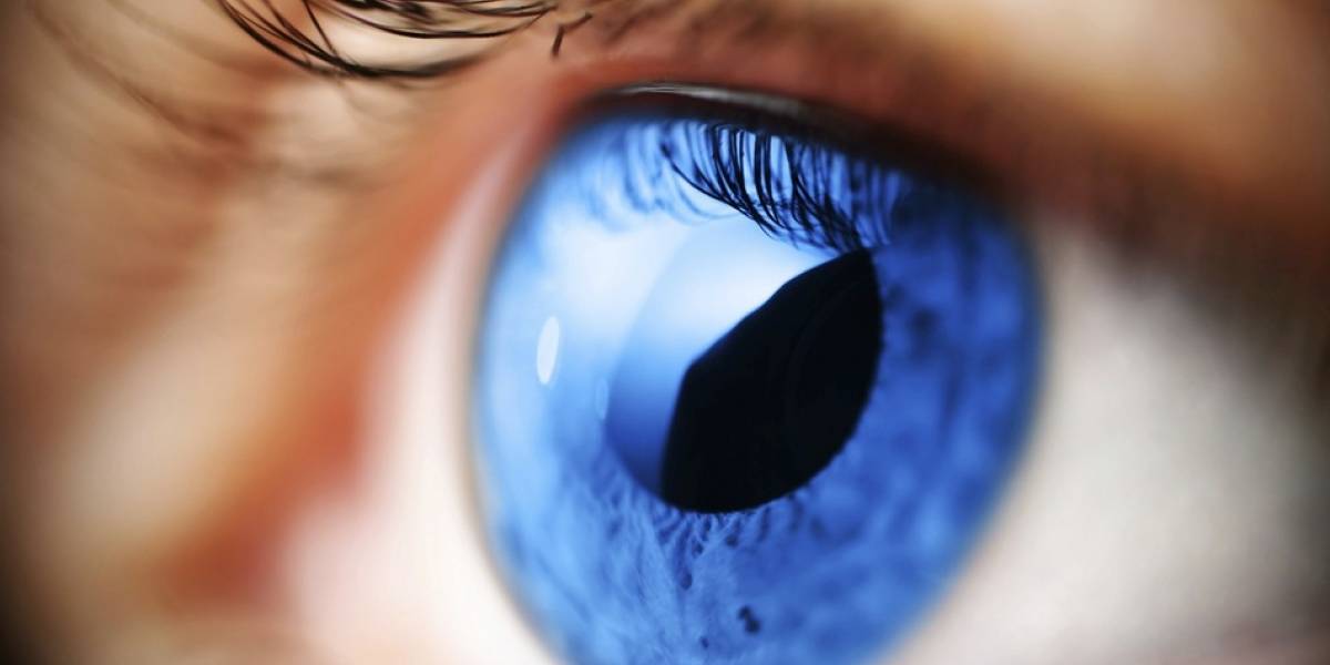 Google patenta sistema de seguimiento ocular para medir respuestas a la publicidad