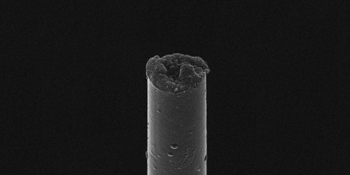 Crean electrodos neuronales unas 100 veces más delgados que los convencionales de metal