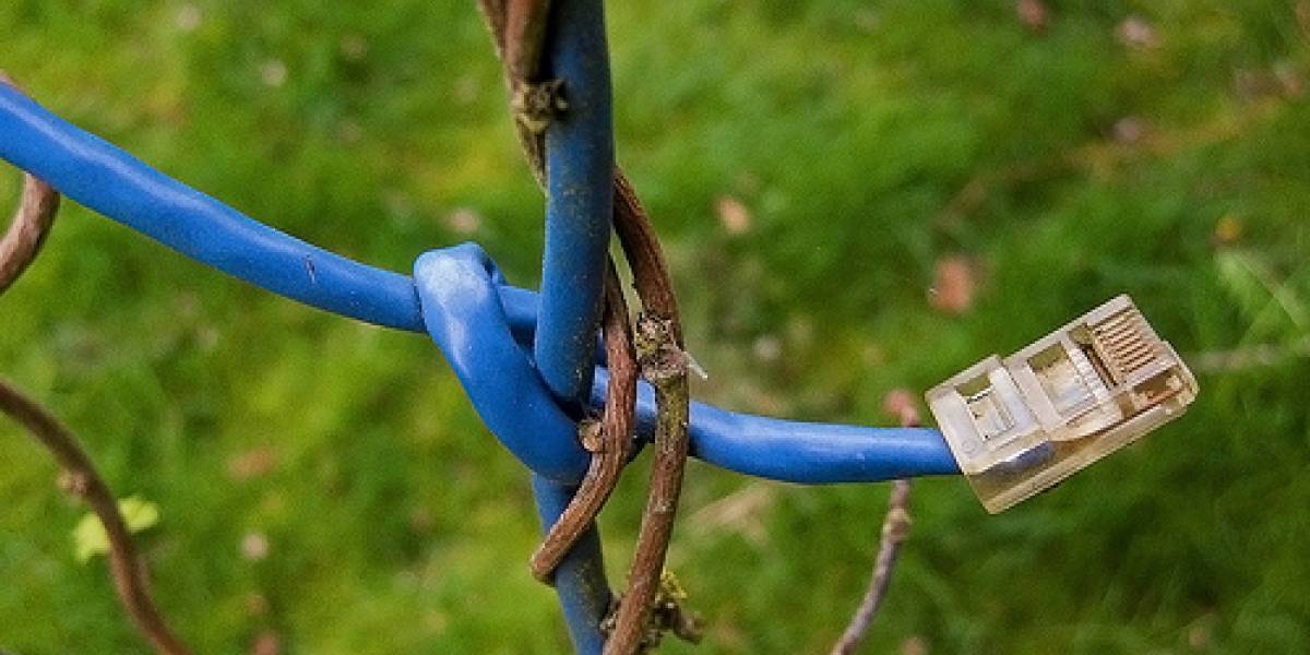N00ter detecta cuándo un ISP está bajando la velocidad