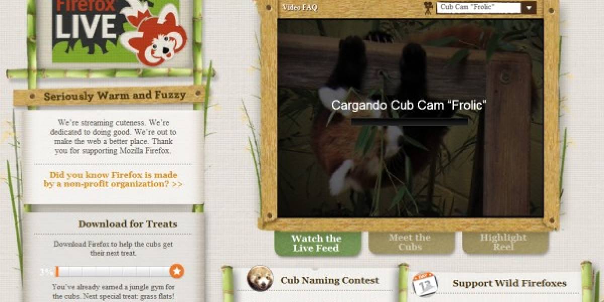 Fundación Mozilla adopta dos pequeños pandas rojos