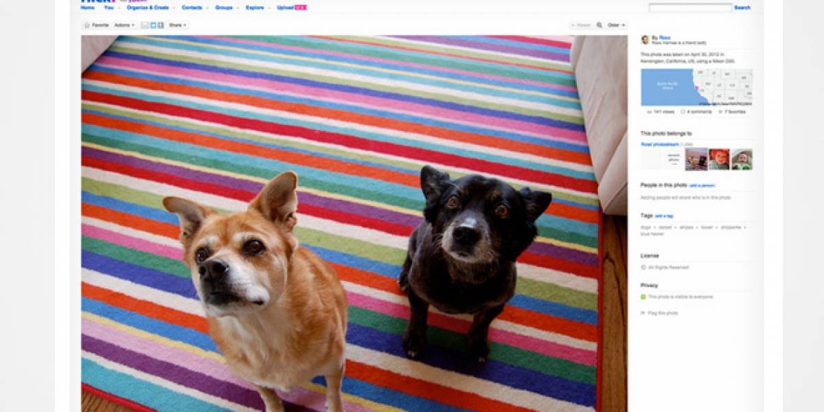 Flickr está regalando 3 meses de la versión Pro a sus usuarios actuales