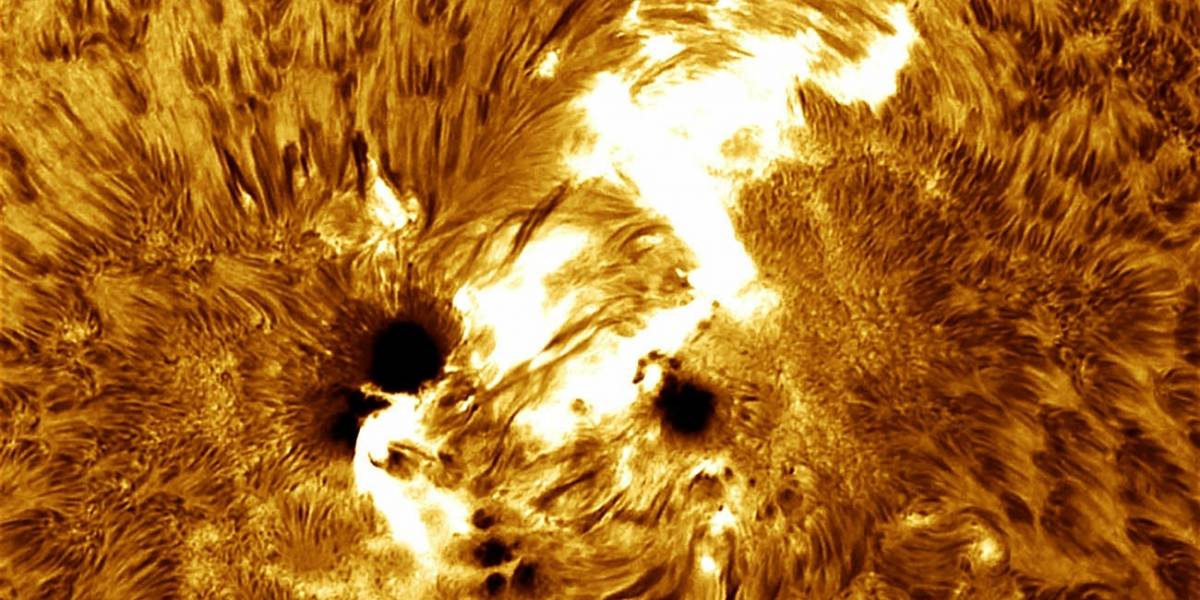 Las imágenes y videos científicos más espectaculares de 2014