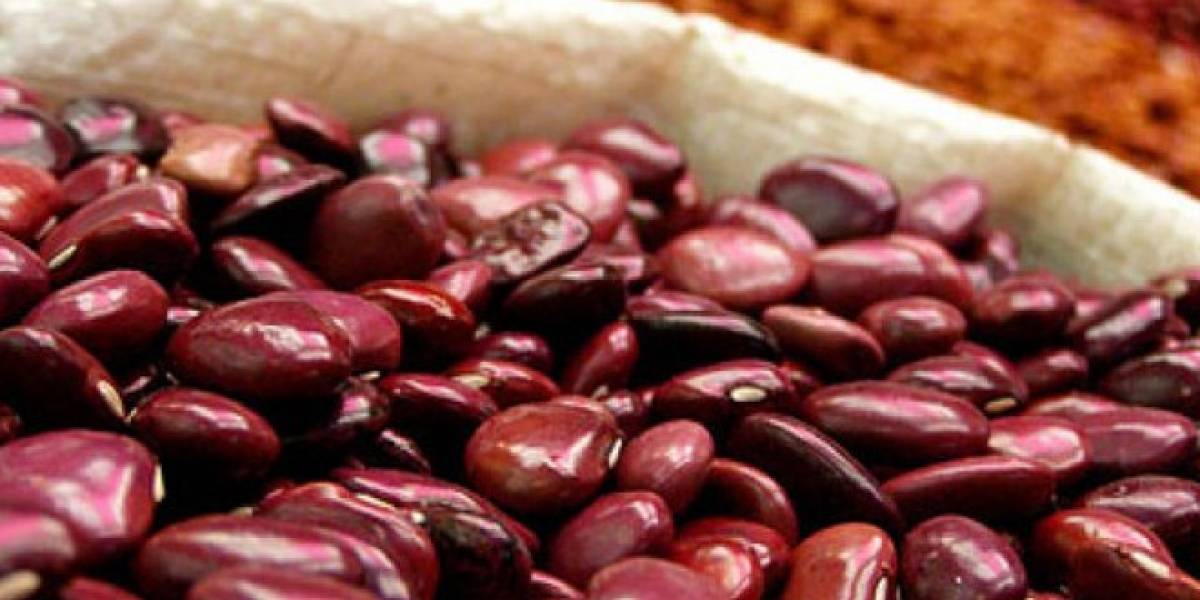 México: Decodifican el genoma del frijol