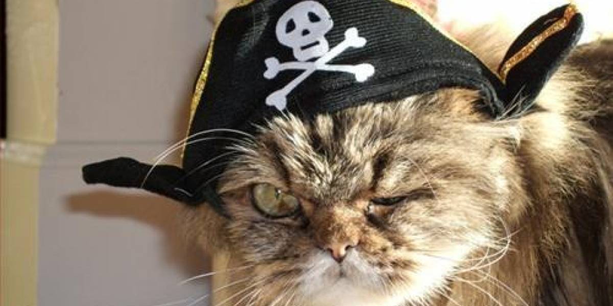 Principales compañías de telefonía de EEUU acuerdan en penalizar a los piratas