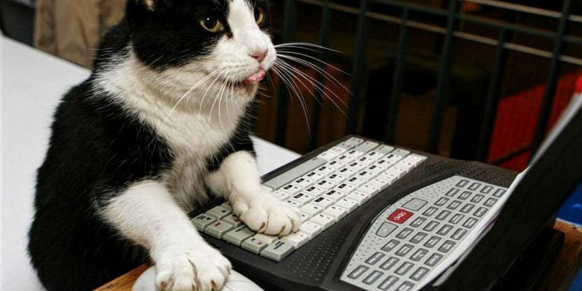 Encuesta dice que 8 de cada 10 chilenos comenta en redes sociales sobre lo que ve en TV