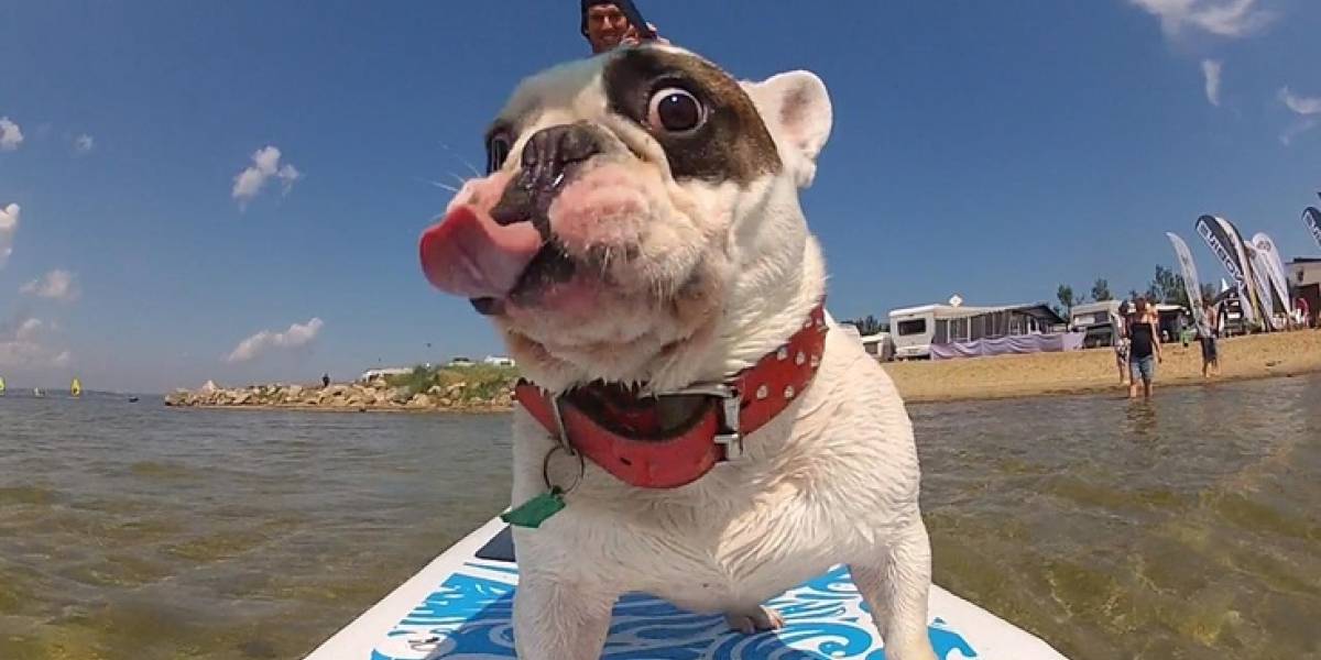 GoPro premiará semanalmente a los mejores creadores de contenido