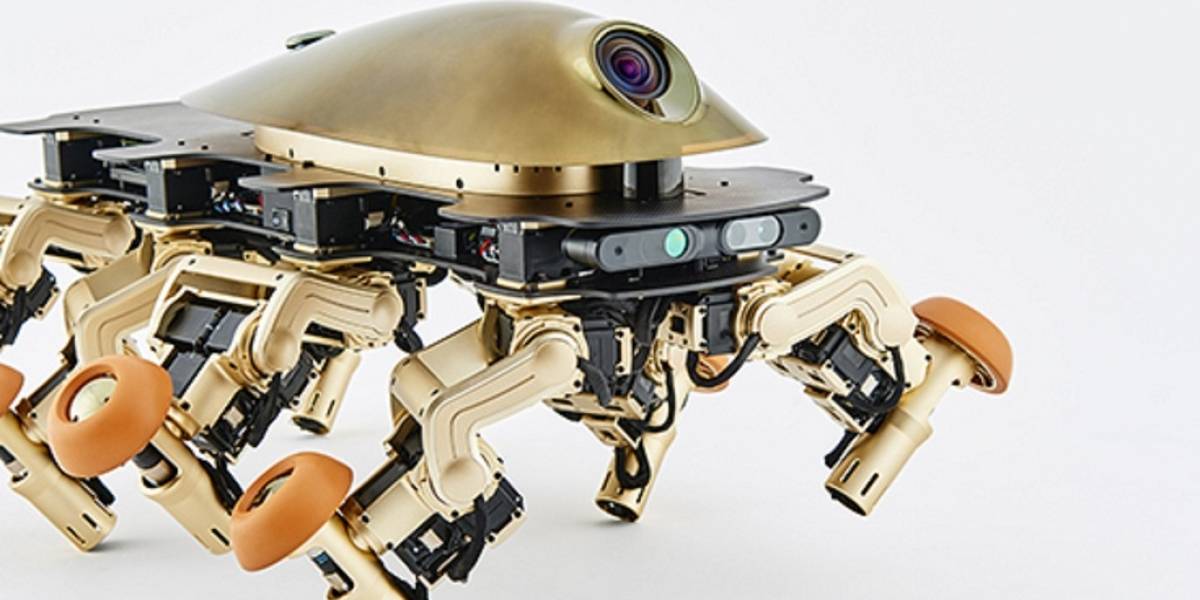 Crean un robot basado en el "fósil más raro de la historia"