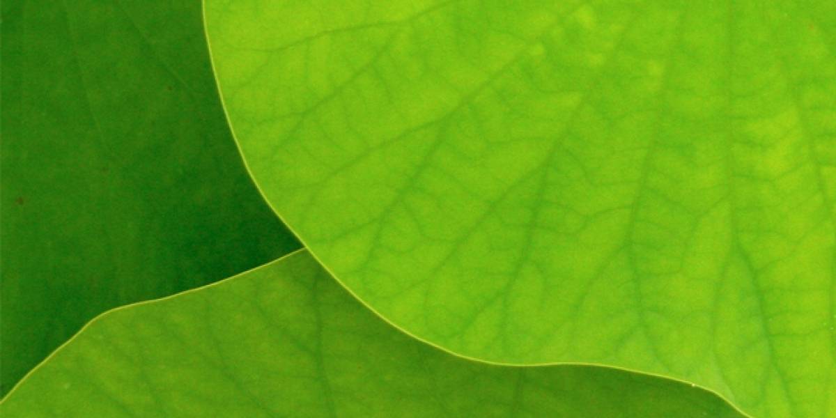 La hoja artificial ya tiene su primer prototipo funcionando