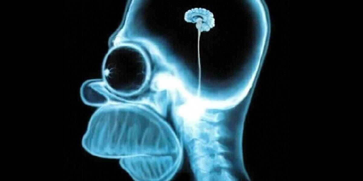 Cantidad de amigos en Facebook está asociada a la densidad cerebral