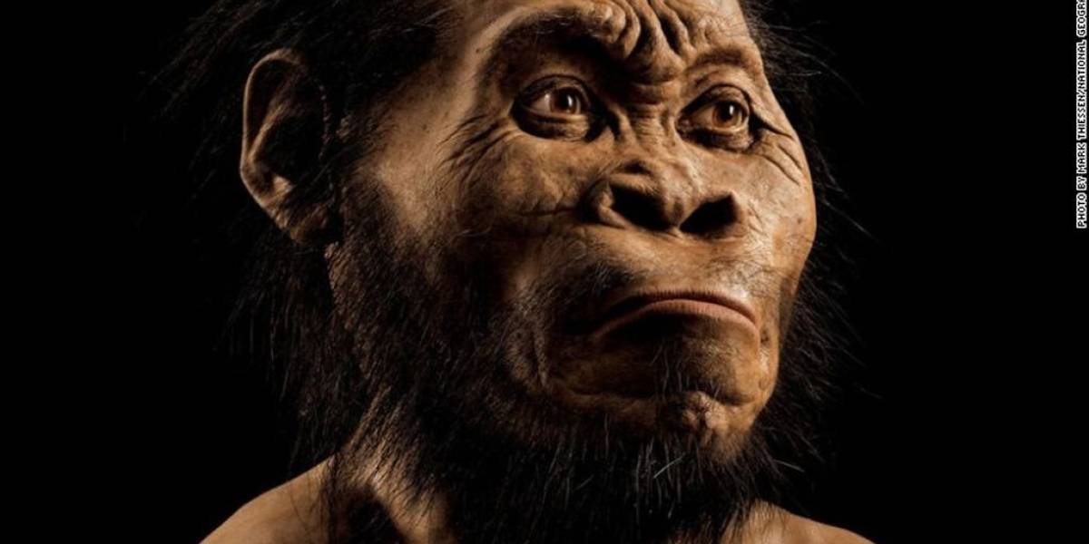 Descubierto el Homo naledi, un nuevo antepasado del hombre