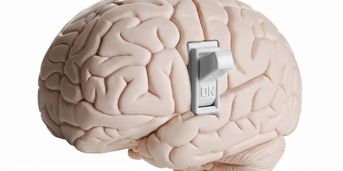Descubren el "interruptor" de la consciencia humana en el cerebro