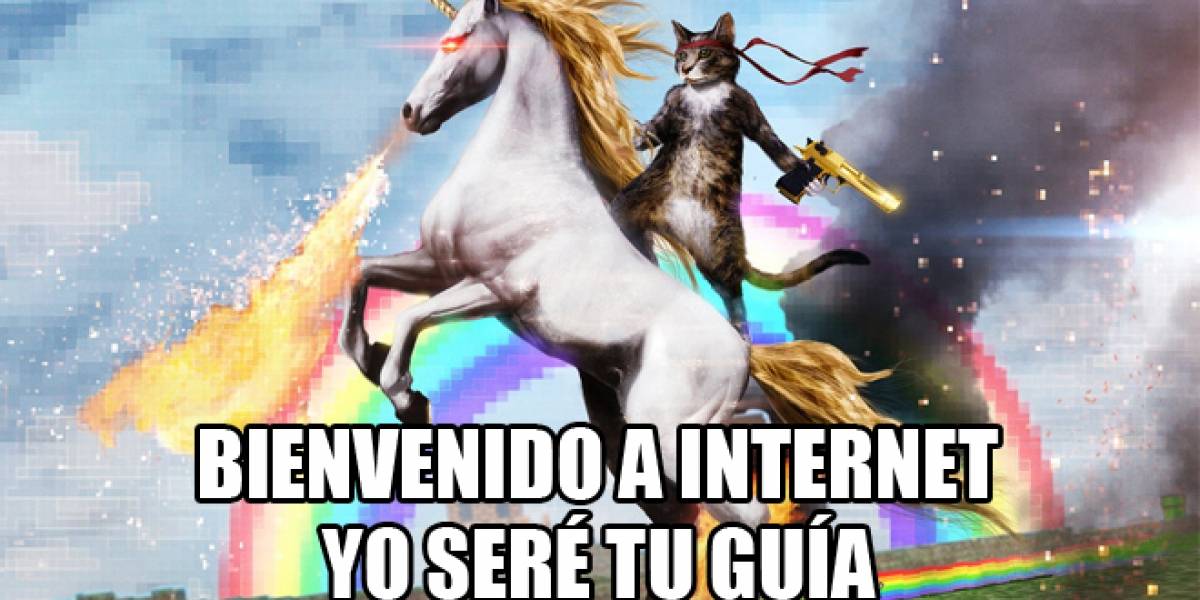 Sobre el nuevo Megaupload y las formas en que Internet se defiende de los bloqueos legales