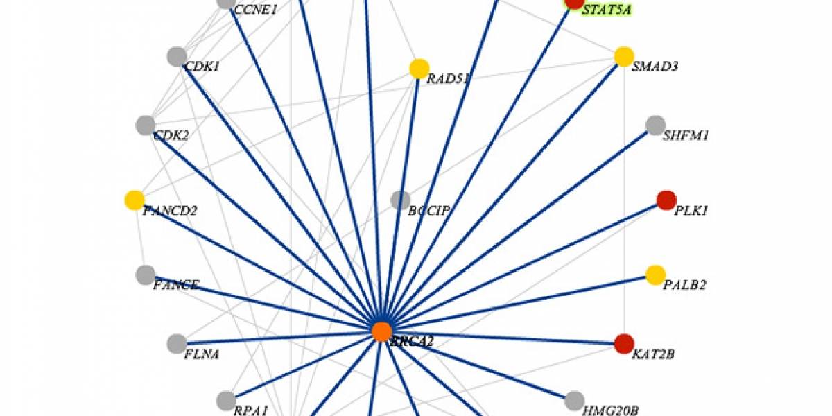 Knome: El software que le da sentido al genoma humano