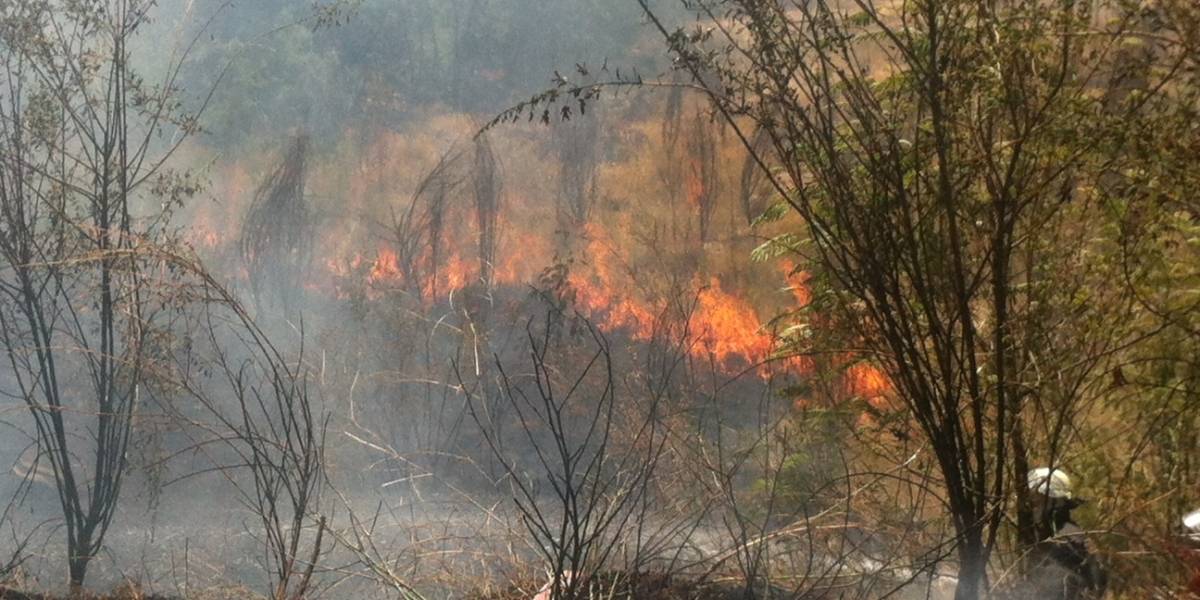Incendio forestal mantuvo al sur de Chile sin Internet durante varias horas