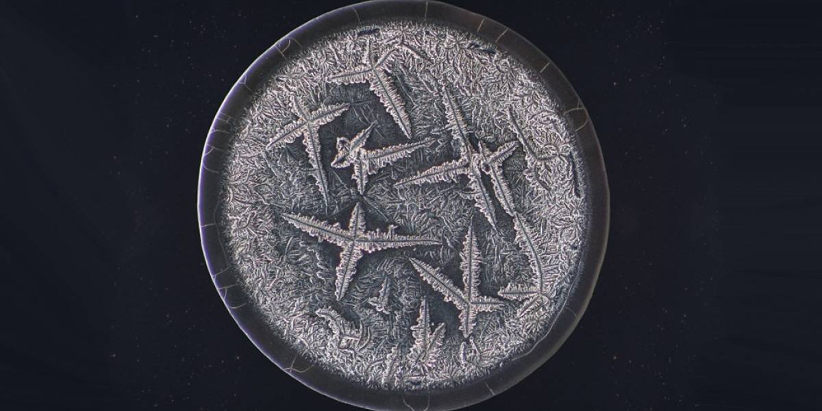 Así se ven las lágrimas humanas bajo el microscopio