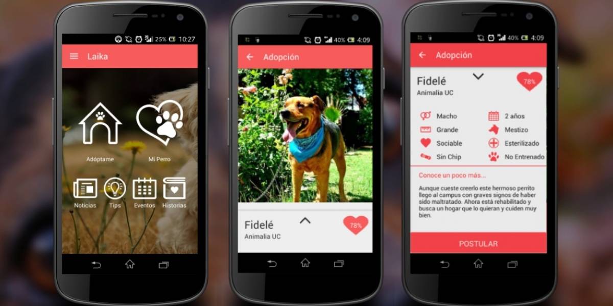 Laika, la app para adopción y tenencia responsable de perros