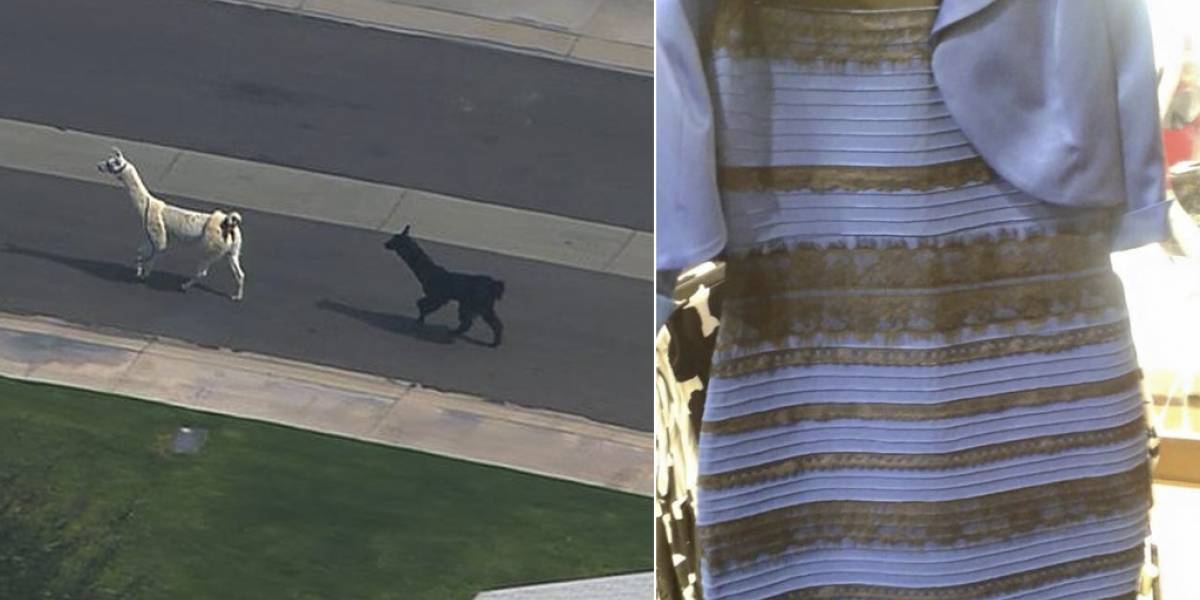 Llamas y vestidos azules: ¿por qué necesitamos estar en las grandes discusiones?