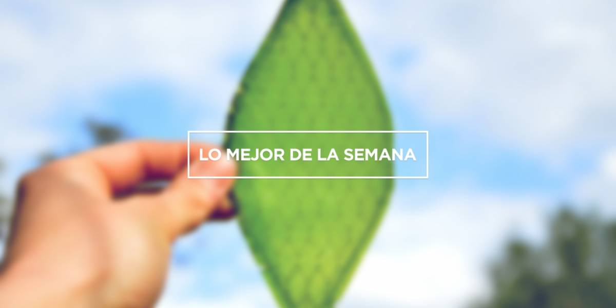 Lo mejor de la semana: drones, hojas bioartificiales, señales de radio, Skywalker y mucho más