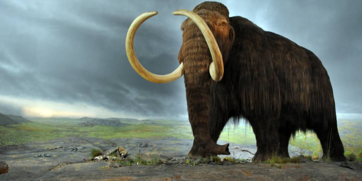 Granjero de Michigan descubrió una osamenta de mamut
