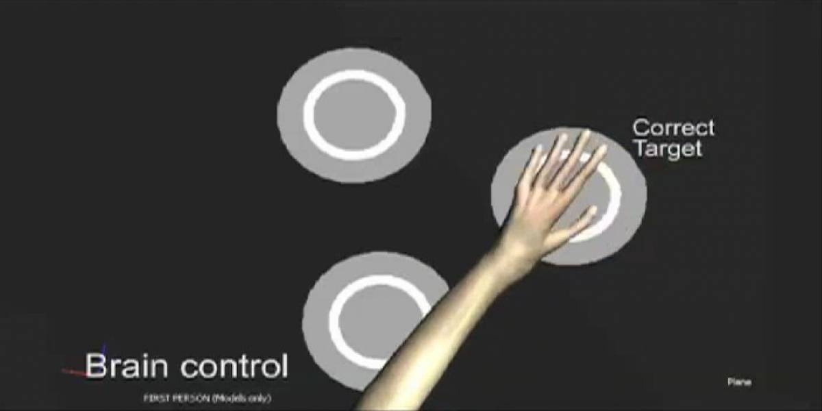 Monos controlan brazo virtual con el pensamiento; podría ayudar a parapléjicos