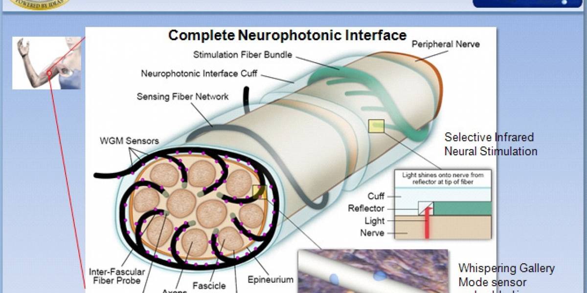 Comienza el desarrollo de extremidades prostéticas con fibra óptica