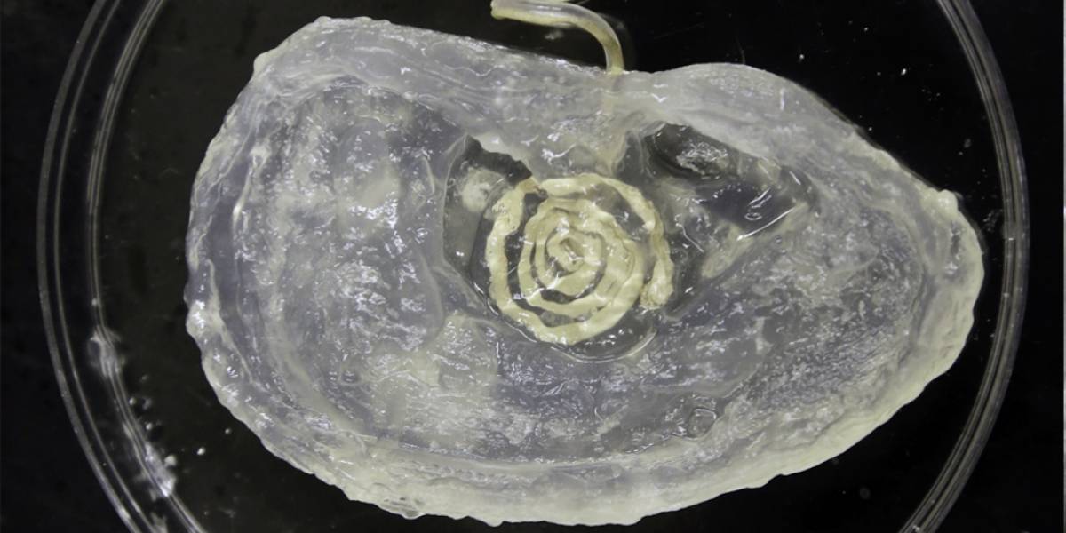 Científicos crean primer oído bionico mediante impresión 3D