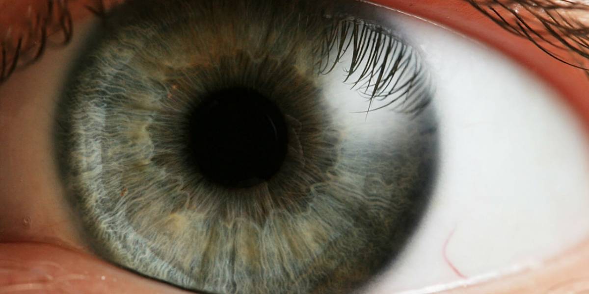 Exitosa operación podría ser la cura para la ceguera macular