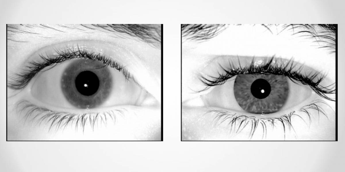 Crean imágenes falsas de ojos que pueden engañar a los escaner de seguridad