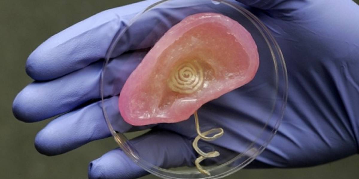 Imprimen en 3D una oreja biónica que podría ampliar nuestro espectro audible