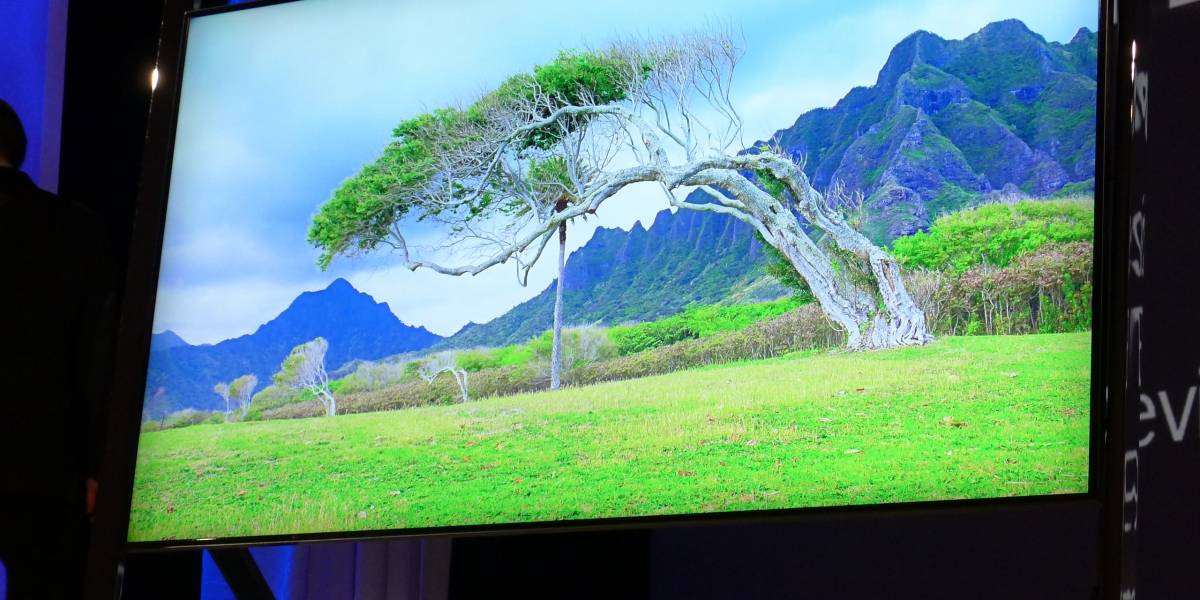 UDI plantea veto a la Ley de TV Digital tras fallo del Tribunal Constitucional