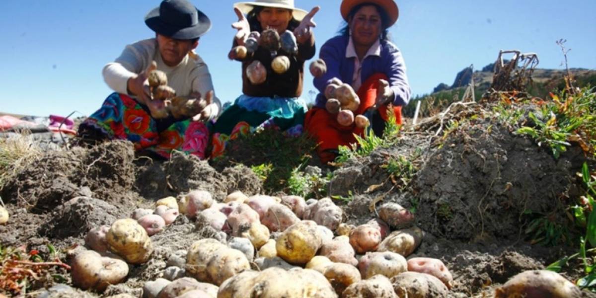 NASA planea llevar papas peruanas a Marte