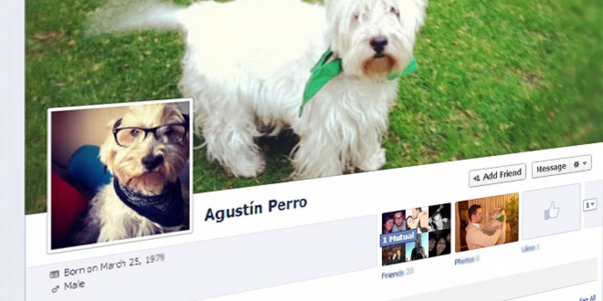 83 millones de cuentas de Facebook son falsas