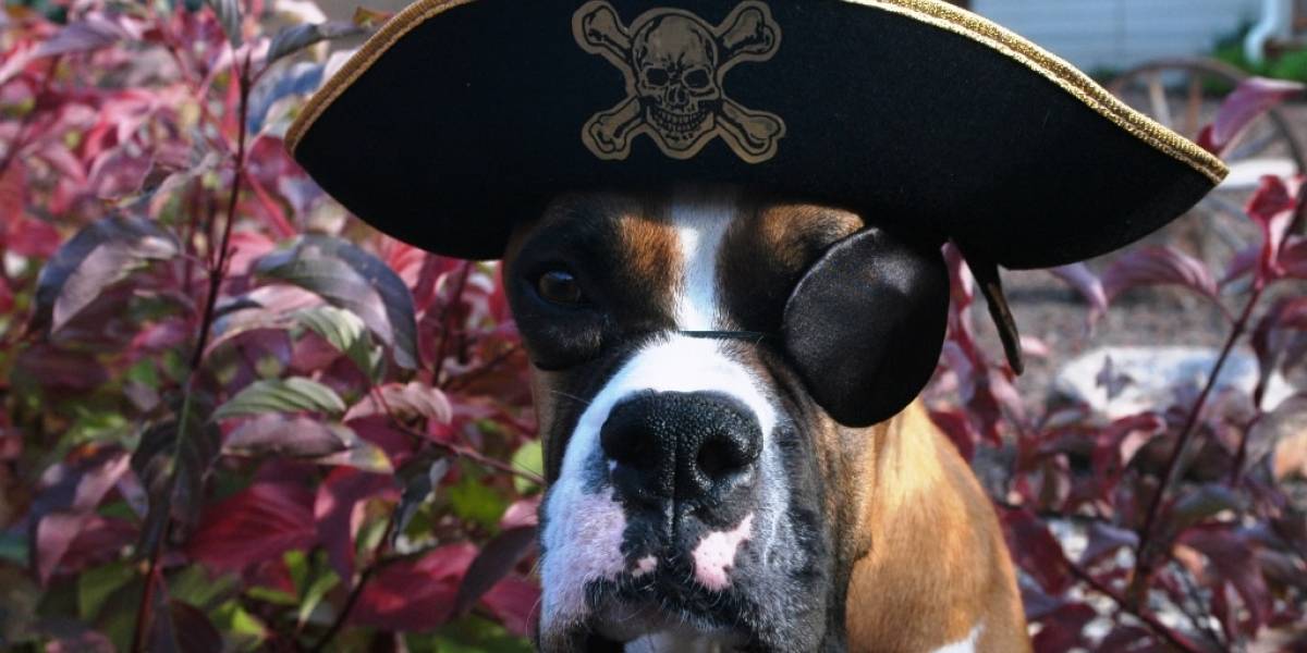 No hay impacto significativo de la piratería en el ingreso de taquilla, revela economista