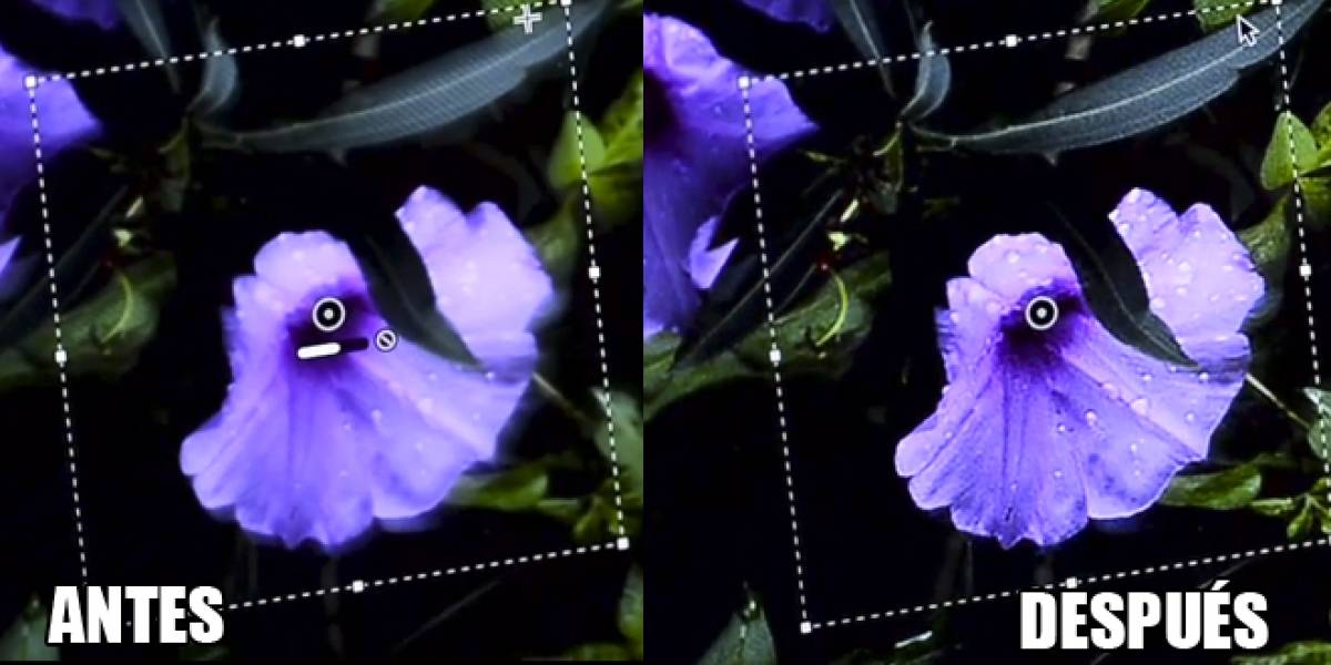 Próxima versión de Photoshop corregirá fotografías que hayan salido movidas