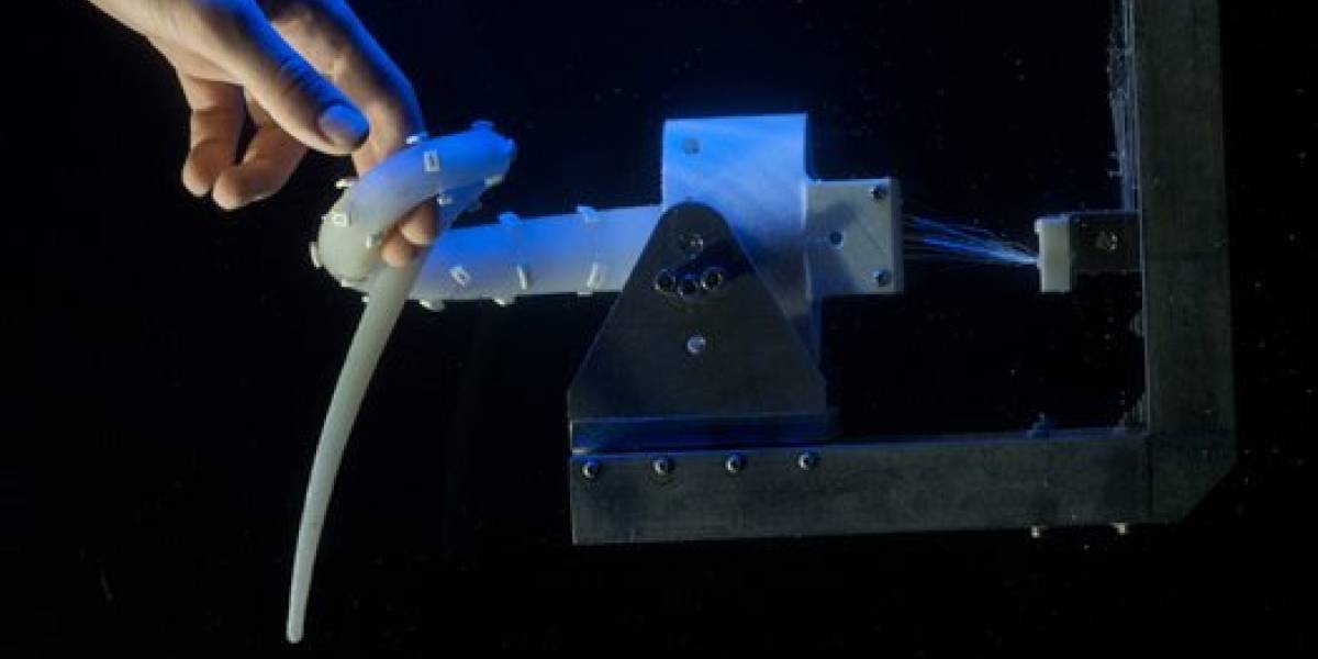 Con ustedes, el increíble tentáculo-robot