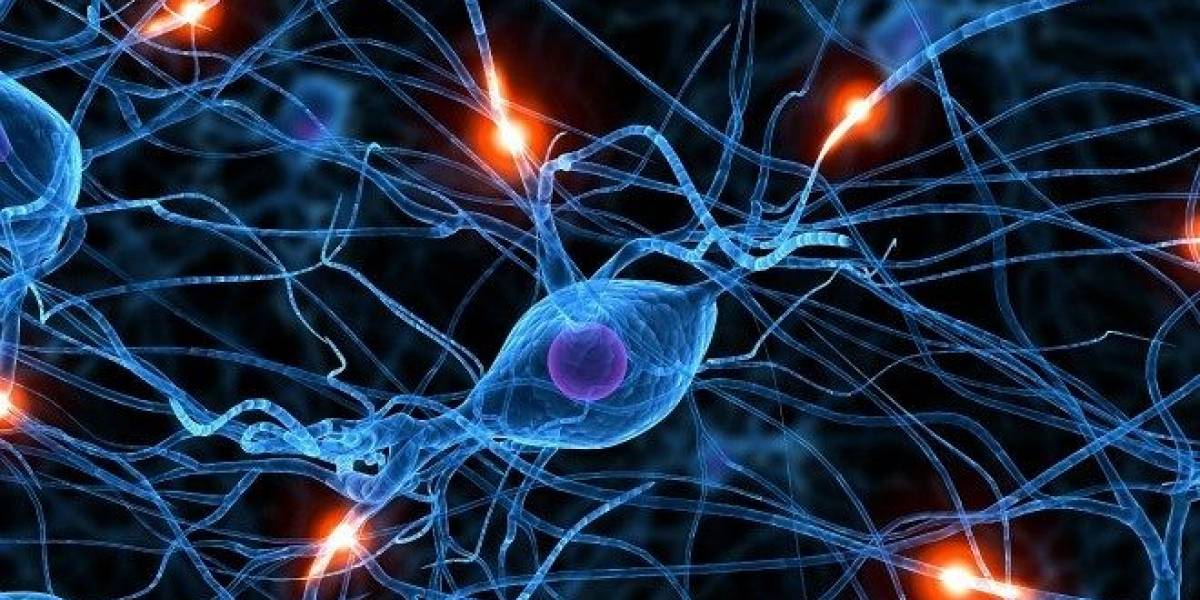 Miyoung Chun, pionera del Proyecto BRAIN dice que "quizás ni sepamos lo que queremos aprender"