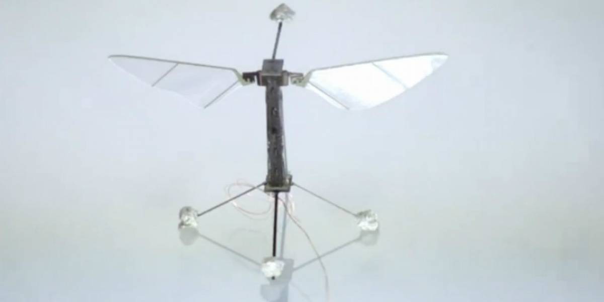 RoboBee, el robot volador más pequeño del mundo