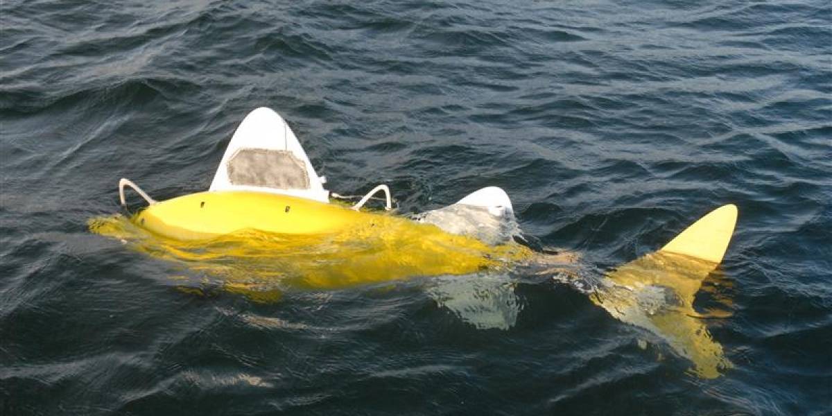 Robofish: El pez robot que puede olfatear y limpiar contaminaciones en el mar