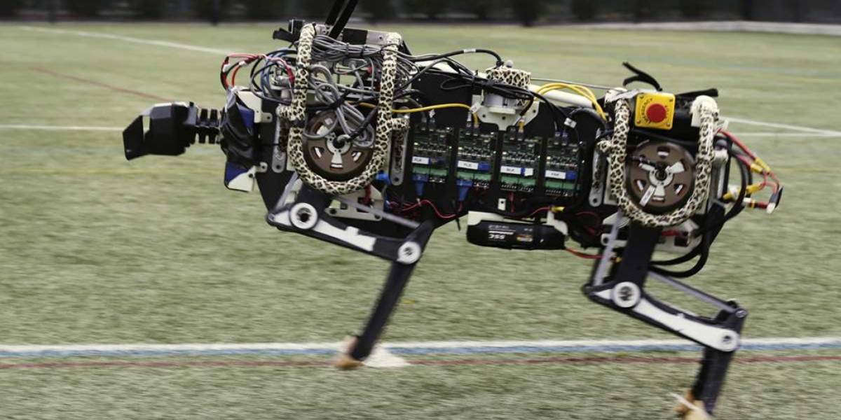 Mira los saltos del majestuoso robot chita del MIT