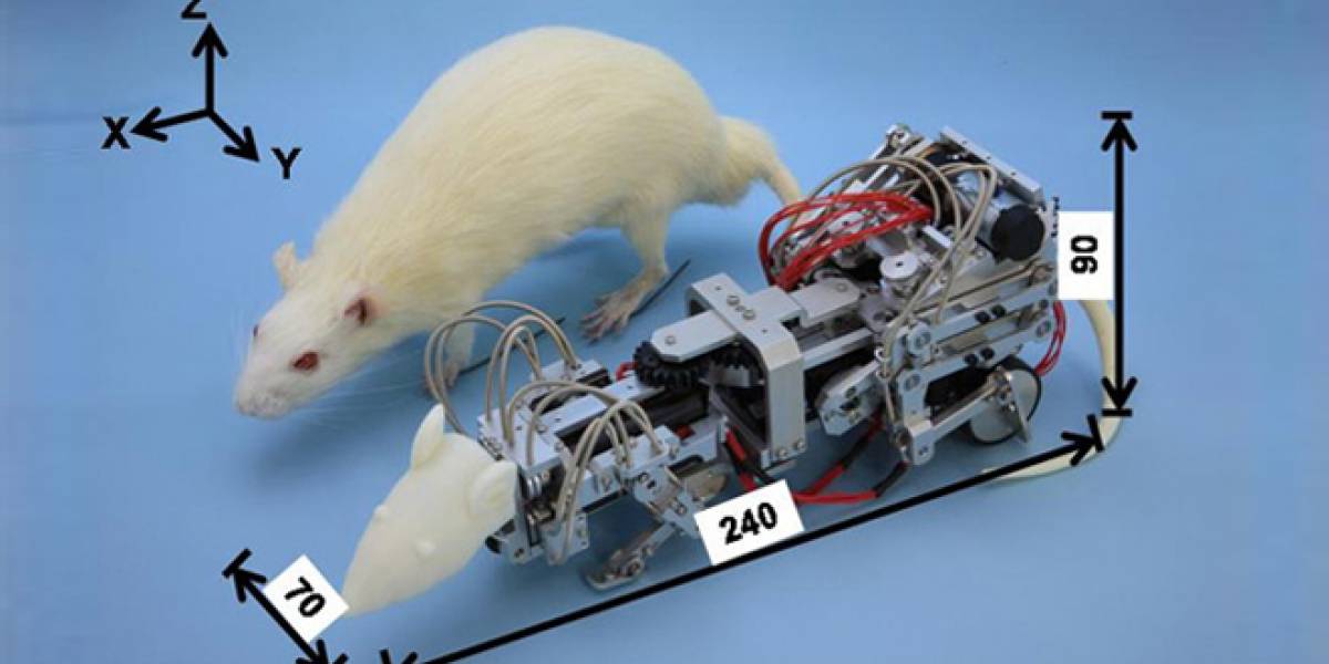 Japoneses crean un ratón robot para estresar y deprimir a ratones reales