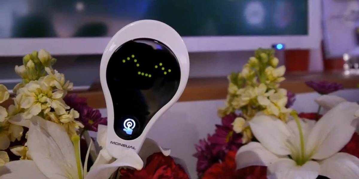 CES 2013: El Smart Communicator Plant Care hace que tu planta te hable cuando necesite agua