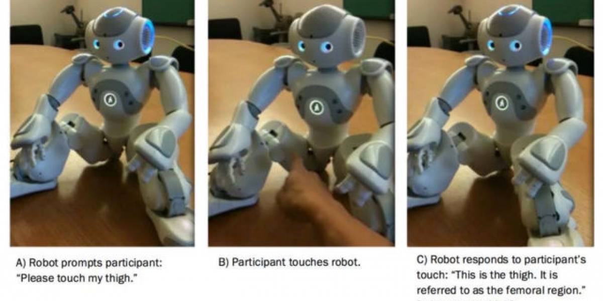 Este robot te pide que le toques el trasero