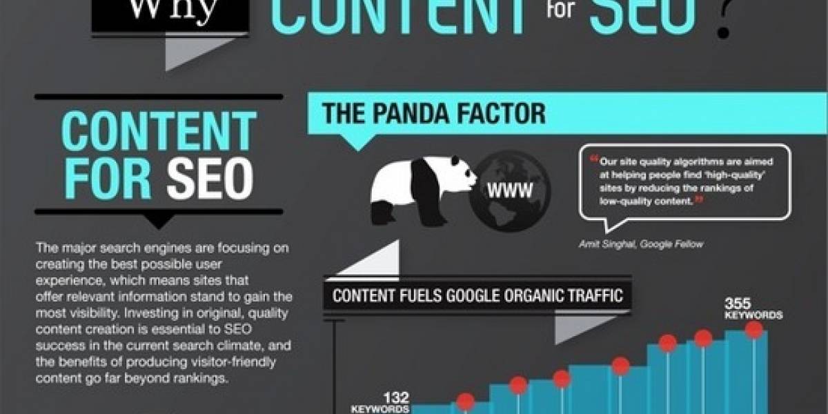 Infografía sobre los SEO